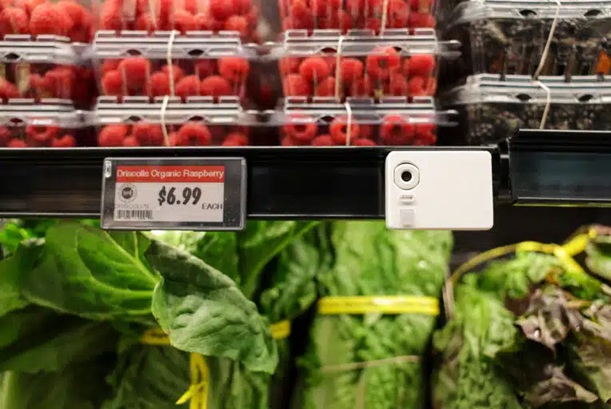 AIカメラの使用例